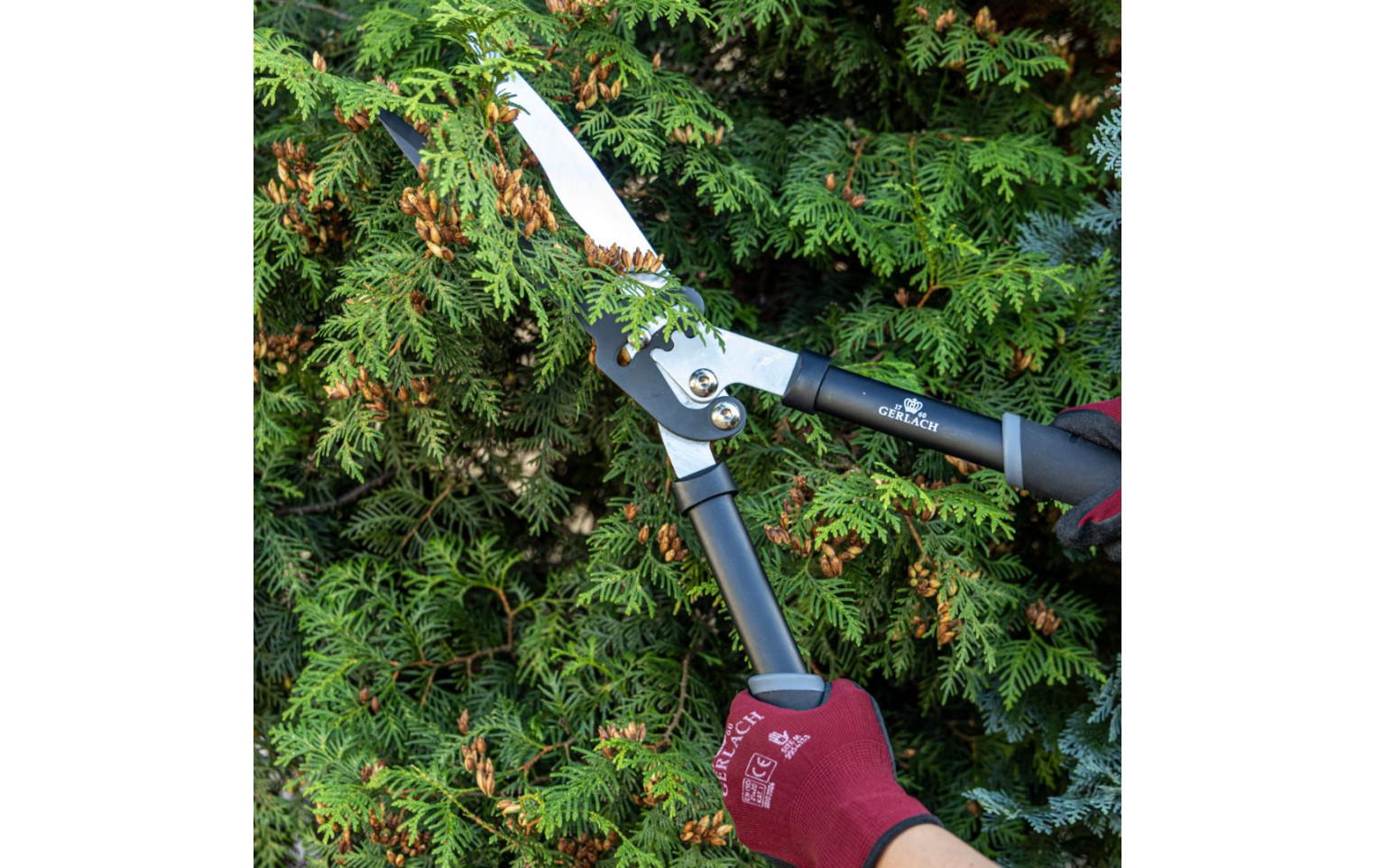 Nůžky na živý plot